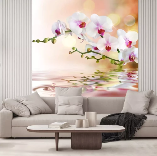 Fotobehang Orchideeën en planten bij het water