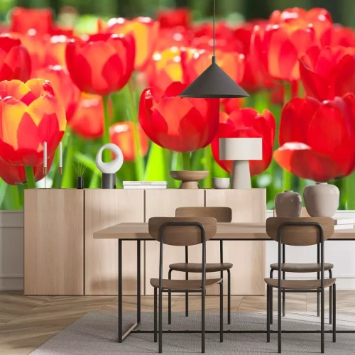 Sticker Rode bloemen glinsteren in de zon