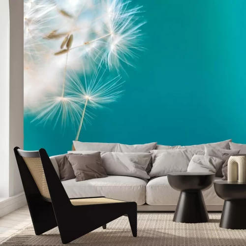 Fotobehang Paardenbloemzaden op een licht turquoise achtergrond