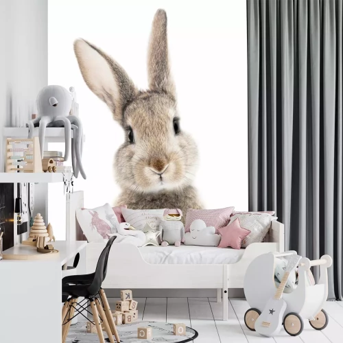 Sticker Schattig konijntje op een witte achtergrond