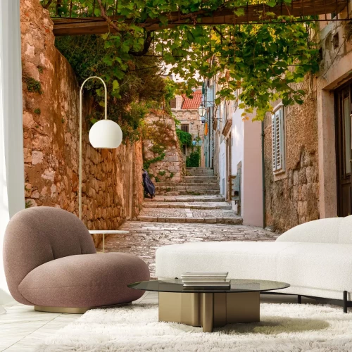 Fotobehang Architectuur op een stenen straat met groene planten