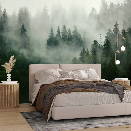 Fotobehang Donkergroen naaldbos in dichte mist