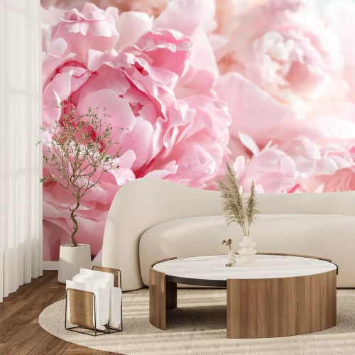 Fotobehang Roze pioenrozen close-up foto