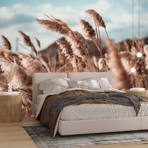 Fotobehang Pampasgras in de wind