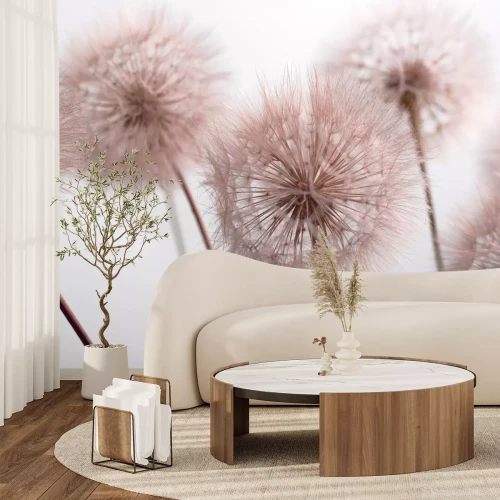 Fotobehang Roze paardenbloemen van dichtbij