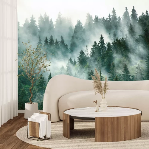 Fotobehang Natuurlandschap met een donkergroen bos in de mist