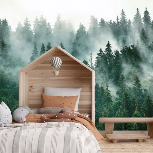 Fotobehang Natuurlandschap met een donkergroen bos in de mist