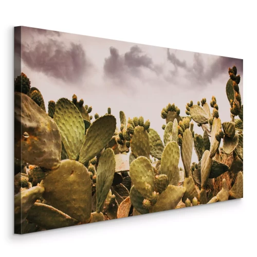 Canvas Groen cactussen botanisch patroon