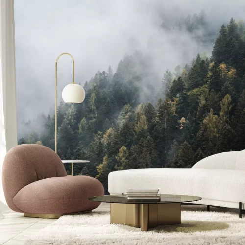 Fotobehang Coniferen op de heuvels in de mist