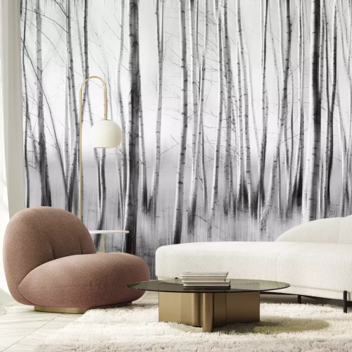 Fotobehang Berkenbos in monochrome kleuren