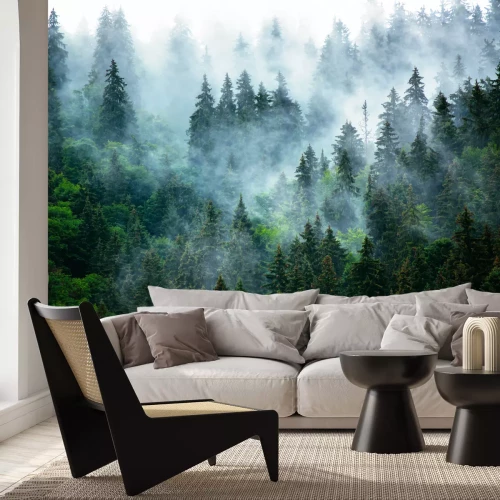 Fotobehang Ochtendmist boven het dichte donkergroene bos