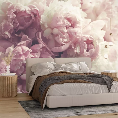 Fotobehang Pastelkleurige pioenrozen van dichtbij