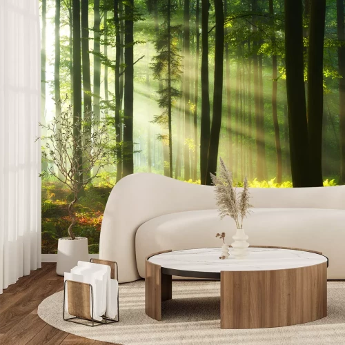 Fotobehang Zonsopgang in een groen boslandschap