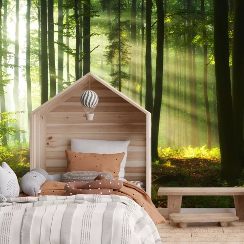 Fotobehang Zonsopgang in een groen boslandschap