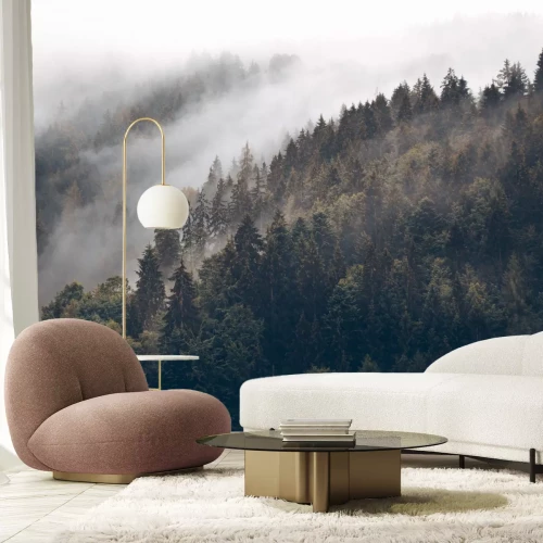 Fotobehang Donkergroen naaldbos op de heuvels in de mist