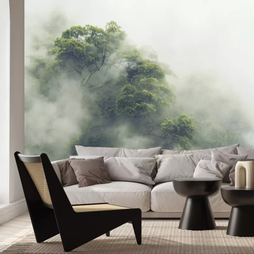 Fotobehang Mistig groen tropisch bos