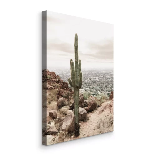 Canvas Cactus en vegetatie in de woestijn