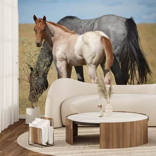 Fotobehang Een jong paard en een merrie grazen in een veld.