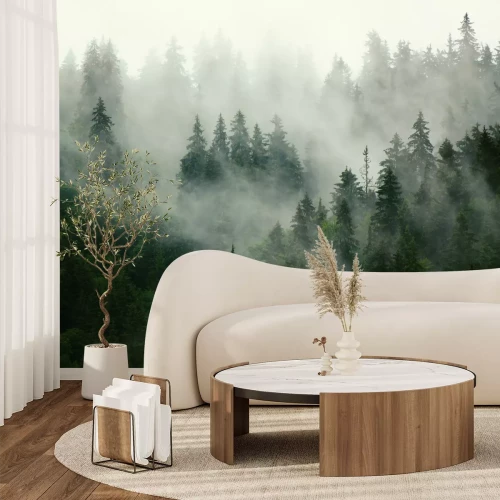 Fotobehang Groene coniferen bedekt met mist