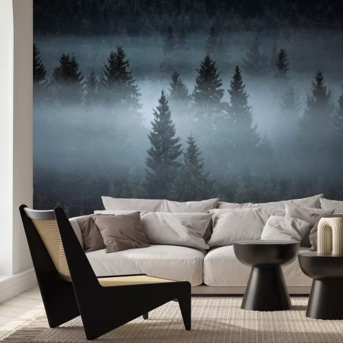 Fotobehang Mistig landschap van een naaldbos