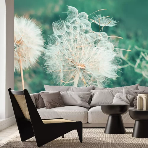 Fotobehang Paardenbloemen