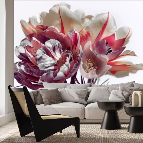 Fotobehang Tulpenstrauß