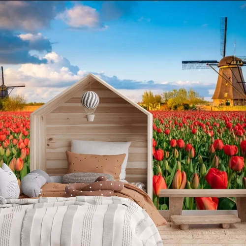 Fotobehang Feld blühender Tulpen