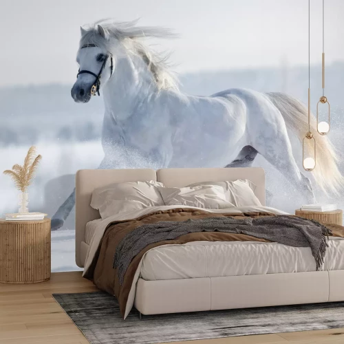 Fotobehang Een wit paard galoppeert door een veld in de winter
