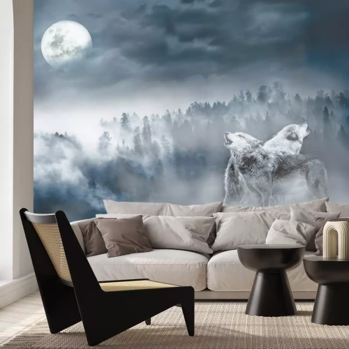 Fotobehang Nachtwolven tegen de achtergrond van maanlicht en bos