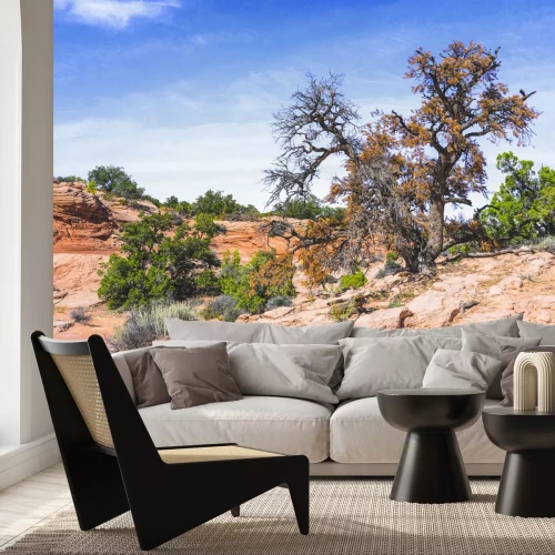 Fotobehang Een rotsachtige woestijn met oases van groen en droge flora