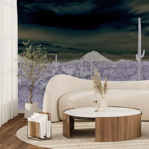 Fotobehang Cactussen en rotsen in een natuurlijke woestijnomgeving