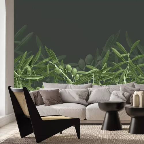 Fotobehang Natuurlijke groene olijftakken