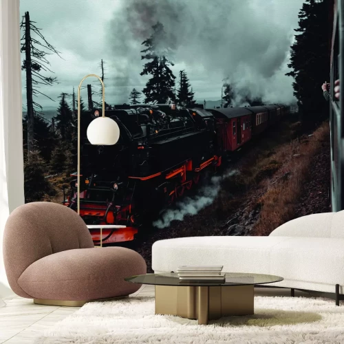 Fotobehang Een trein op een spoorlijn door een dicht bos