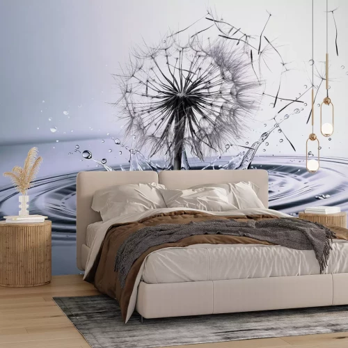 Fotobehang Een delicate paardenbloem op een waterige achtergrond