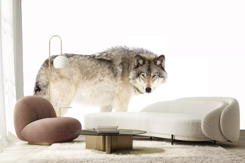 Visualisatie van het product