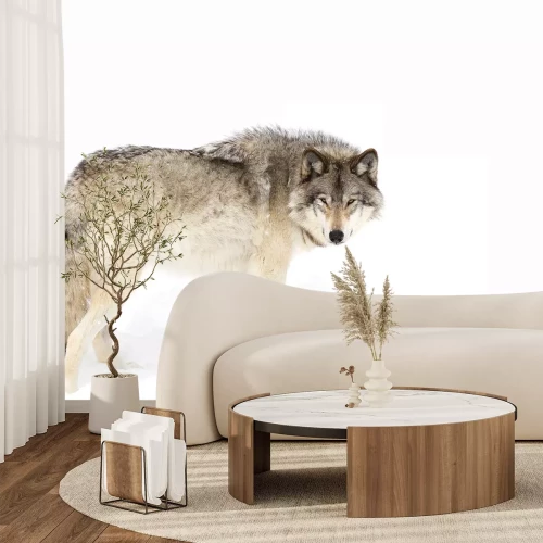 Fotobehang Een roofdier staat op witte sneeuw