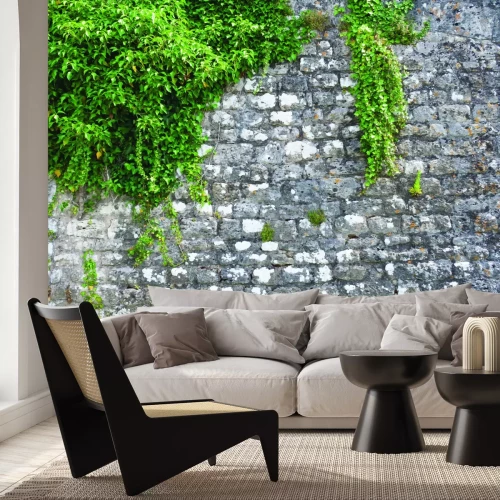 Fotobehang Groene klimop op een stenen muur