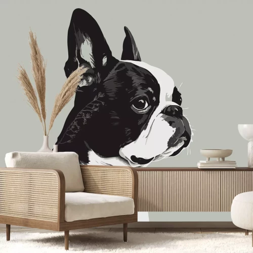 Fotobehang Franse bulldog portret