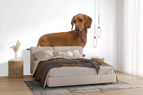 Visualisatie van het product