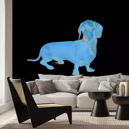 Fotobehang Teckel in een artistieke uitvoering