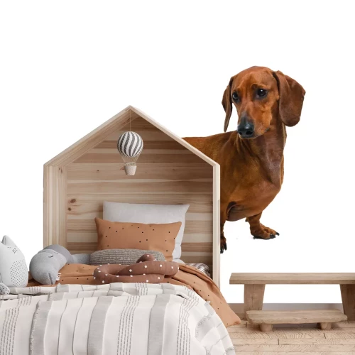 Fotobehang Teckel in een artistieke uitvoering