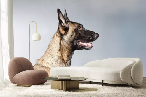 Visualisatie van het product