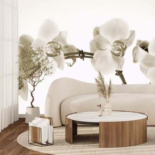 Fotobehang Sepia-getinte orchideeën