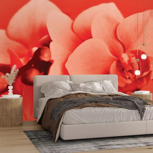 Fotobehang Rode orchideeënbloem in warme tinten