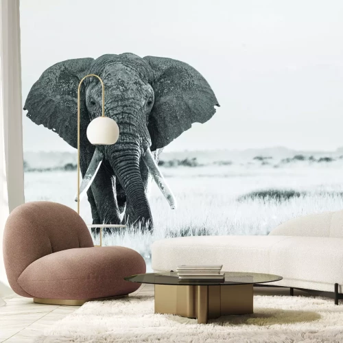 Fotobehang Zwart-witte olifant op safari