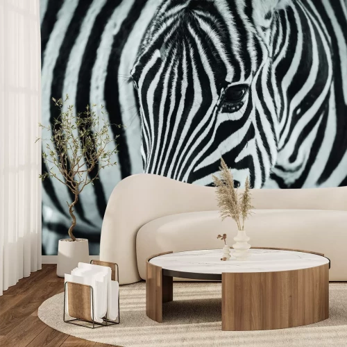 Fotobehang Zwart-witte Afrikaanse zebra van dichtbij