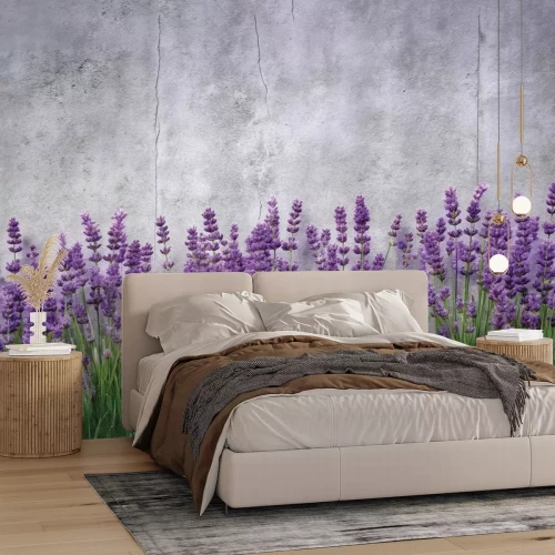 Fotobehang Bloeiende lavendel op een betonnen achtergrond