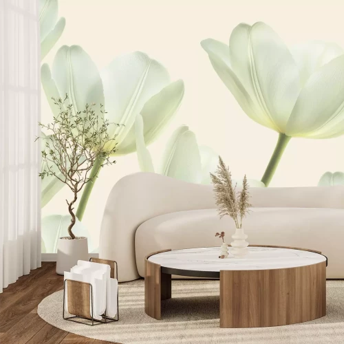 Fotobehang Parelwitte tulpen