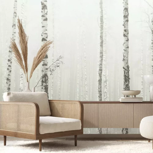 Fotobehang Een berkenbos gehuld in mist