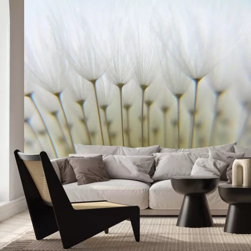 Fotobehang Close-up van het natuurlijke patroon van paardenbloemzaden